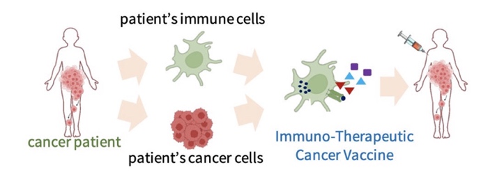 Autologous cancer vaccine modalities yield modest efficacy to date