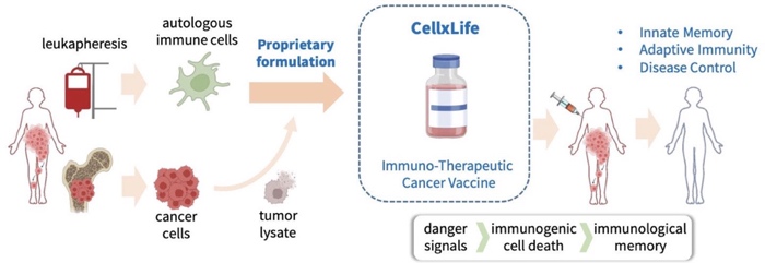 CellxLife Unique Protocol Leverages Immunological Memory